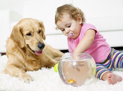 baby and dog