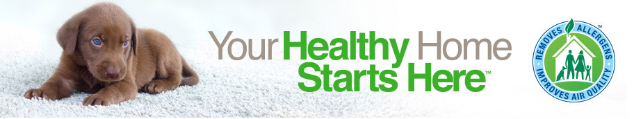 Your healthy home starts here