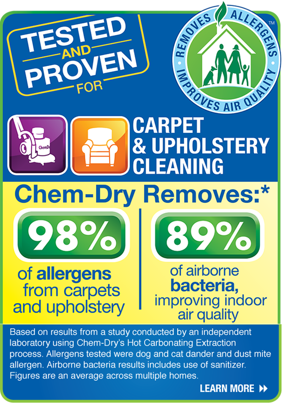 Summer Upholstery Cleaning