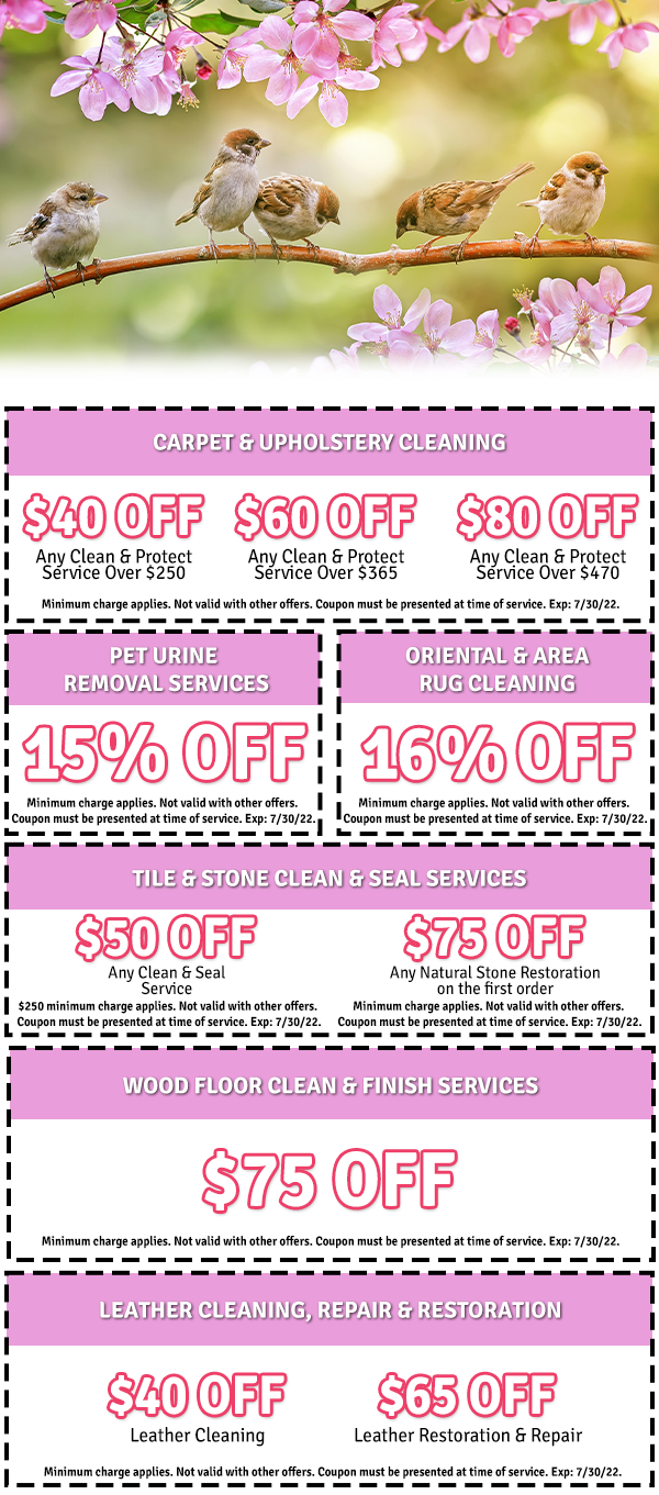 All County Chem-Dry Coupons